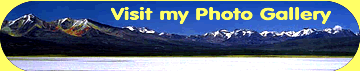 Visit my Photo Gallery