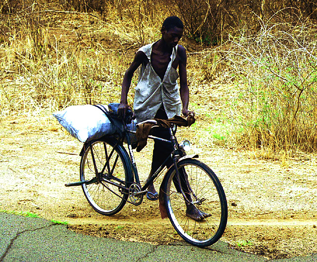 Zambian Haulier